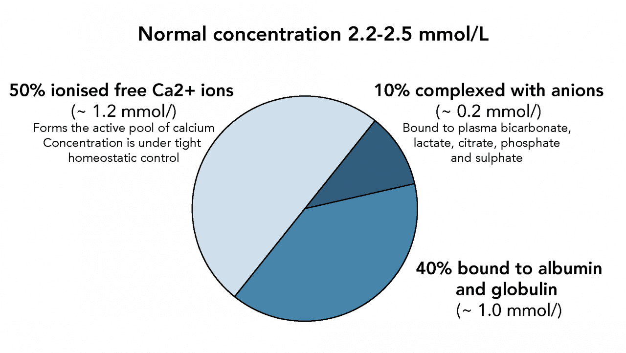 Calcium Physiology theguidewire
