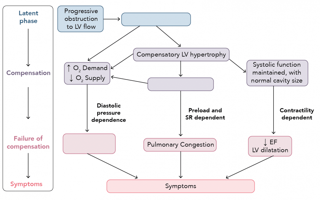 Complete the missing factors that are part of pathophysiology of worsening aortic stenosis?